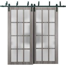 Ash Wood Bypass Doors with Glass Panes