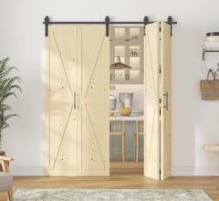 Black Glass Bifold Barn Door Panels